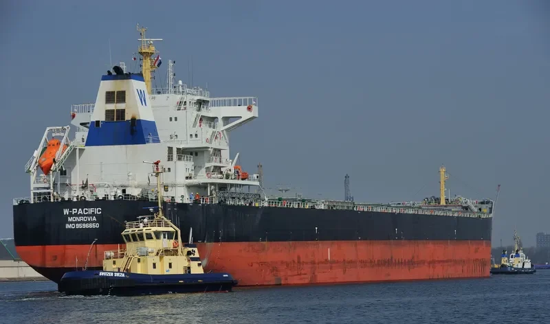 W PACIFIC Bulk Carrier IMO 9596650 photo 9