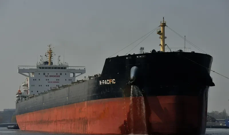 W PACIFIC Bulk Carrier IMO 9596650 photo 10