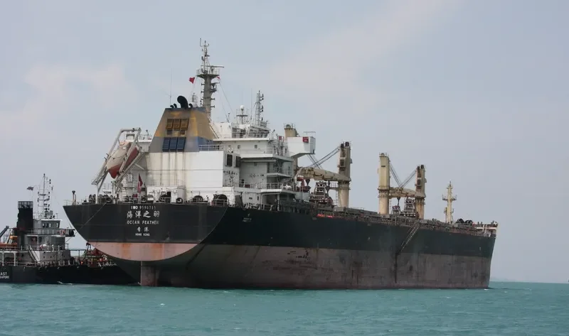 OCEAN FEATHER Bulk Carrier IMO 9596715 photo 2
