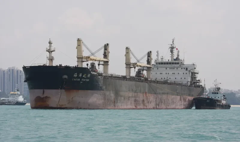 OCEAN FEATHER Bulk Carrier IMO 9596715 photo 3