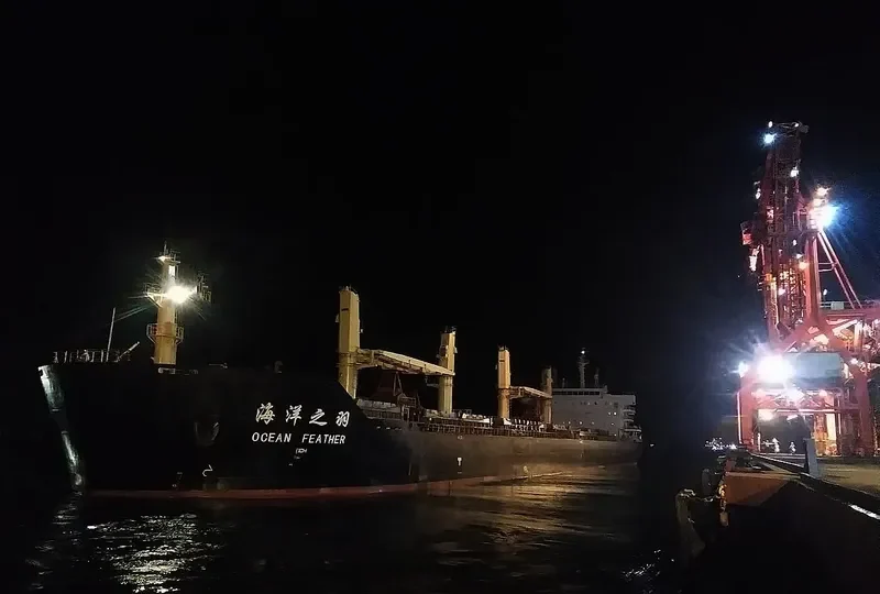 OCEAN FEATHER Bulk Carrier IMO 9596715 photo 7