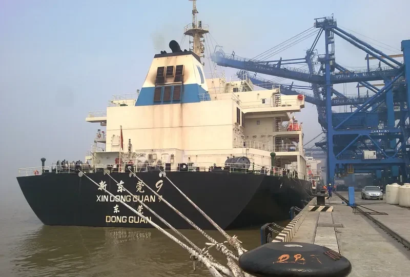 XIN DONG GUAN 9 Bulk Carrier IMO 9597070