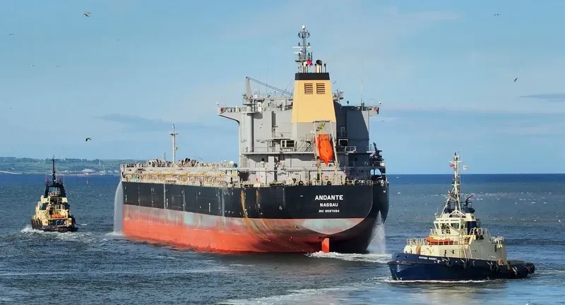 TROMBETAS Bulk Carrier IMO 9597094 photo 8