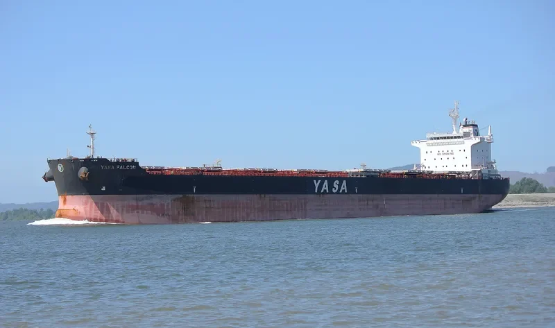 YASA FALCON Bulk Carrier IMO 9597123 photo 2