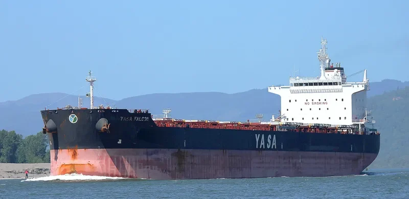 YASA FALCON Bulk Carrier IMO 9597123 photo 3
