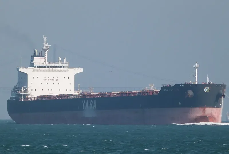YASA FALCON Bulk Carrier IMO 9597123 photo 5