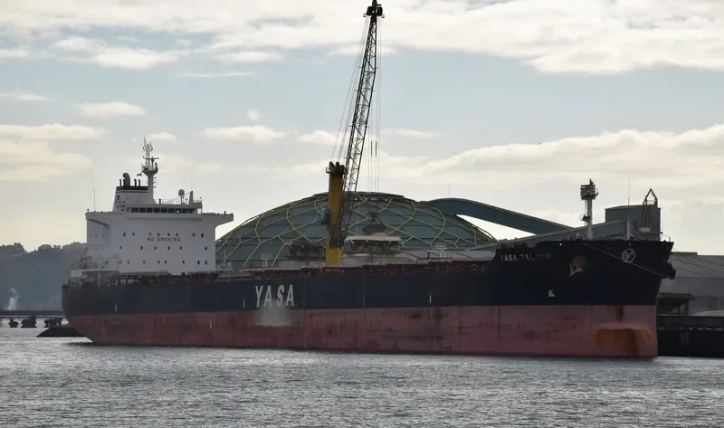 YASA FALCON Bulk Carrier IMO 9597123 photo 9