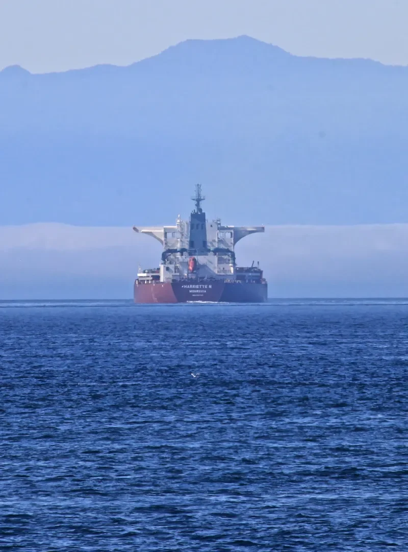 ZJE OCEAN 1 Bulk Carrier IMO 9597197 photo 6