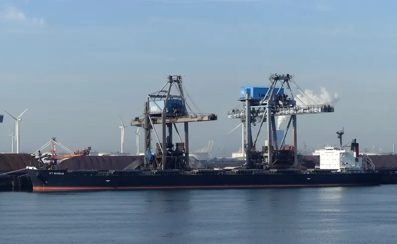 KT BIRDIE Bulk Carrier IMO 9597343