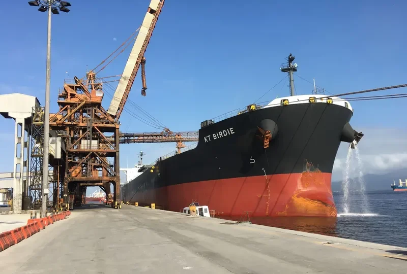 KT BIRDIE Bulk Carrier IMO 9597343 photo 2
