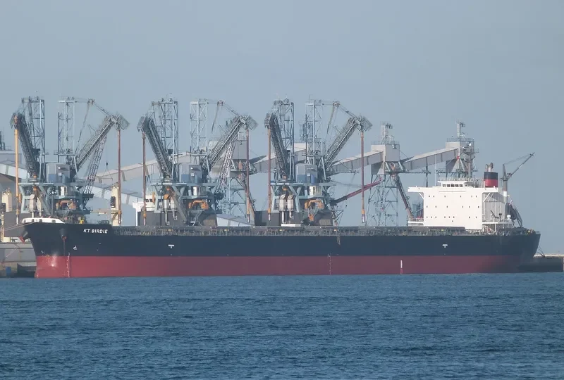 KT BIRDIE Bulk Carrier IMO 9597343 photo 5