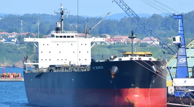 KT BIRDIE Bulk Carrier IMO 9597343 photo 7
