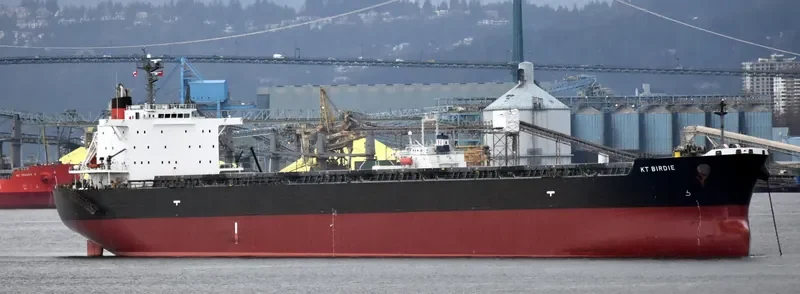 KT BIRDIE Bulk Carrier IMO 9597343 photo 8