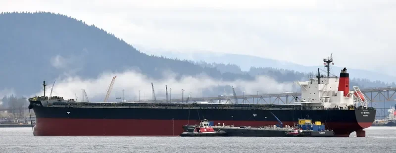 KT BIRDIE Bulk Carrier IMO 9597343 photo 9