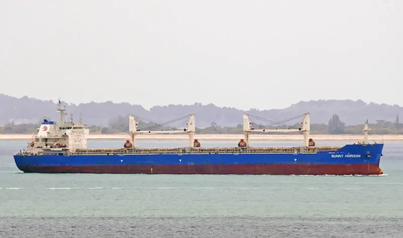 SUNNY HORIZON Bulk Carrier IMO 9597379