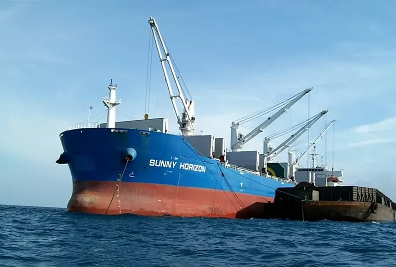 SUNNY HORIZON Bulk Carrier IMO 9597379 photo 8