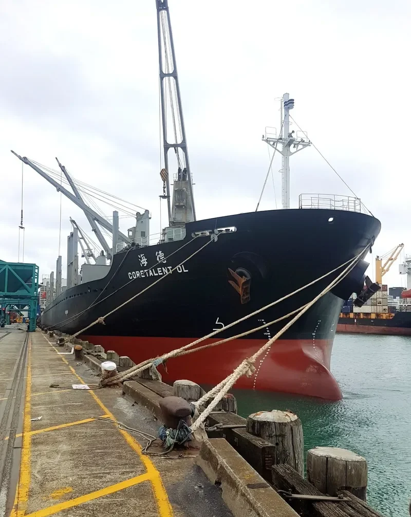 CORETALENT OL Bulk Carrier IMO 9597410