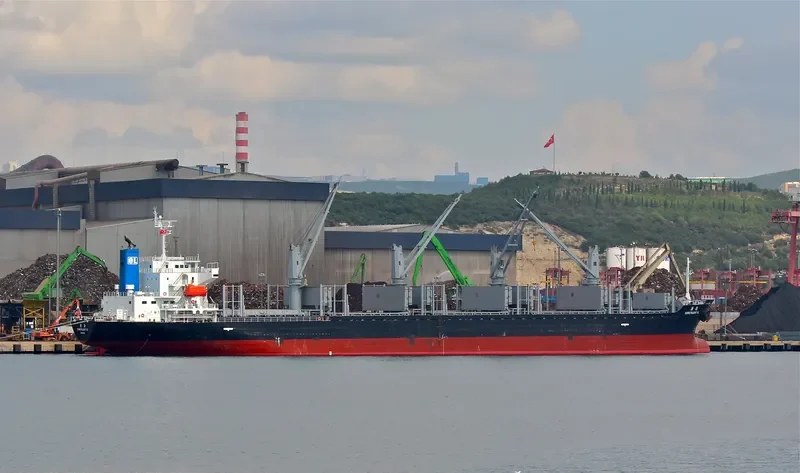 CORETALENT OL Bulk Carrier IMO 9597410 photo 7