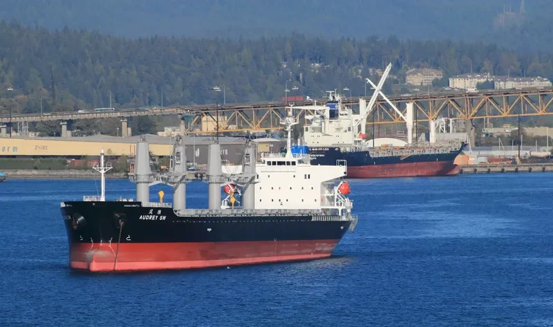 AUDREY SW Bulk Carrier IMO 9597422 photo 2