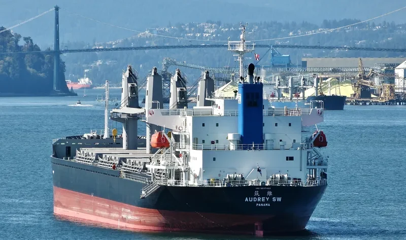 AUDREY SW Bulk Carrier IMO 9597422 photo 8