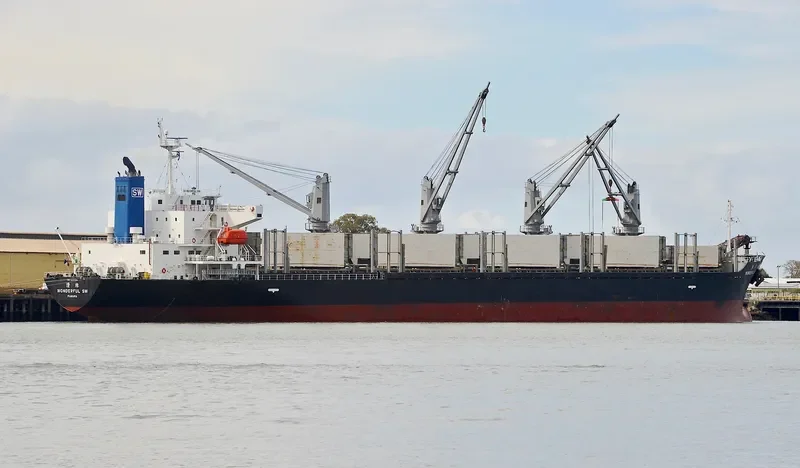 WONDERFUL SW Bulk Carrier IMO 9597434