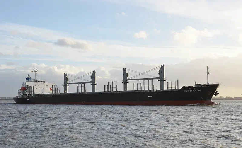 WONDERFUL SW Bulk Carrier IMO 9597434 photo 3