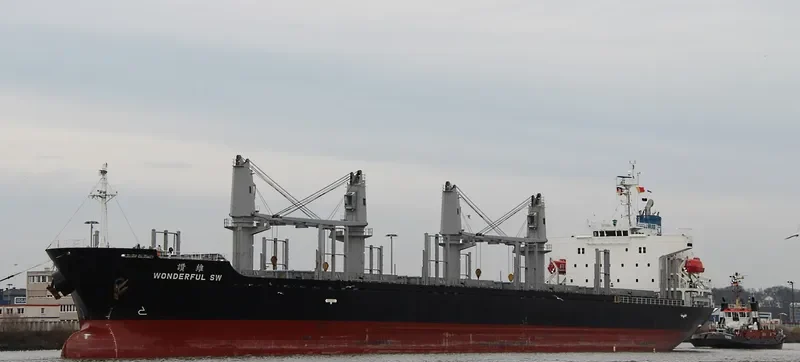 WONDERFUL SW Bulk Carrier IMO 9597434 photo 5