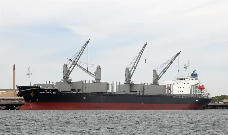 WONDERFUL SW Bulk Carrier IMO 9597434 photo 10