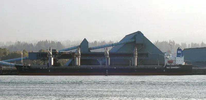 CORELEADER OL Bulk Carrier IMO 9597678 photo 7