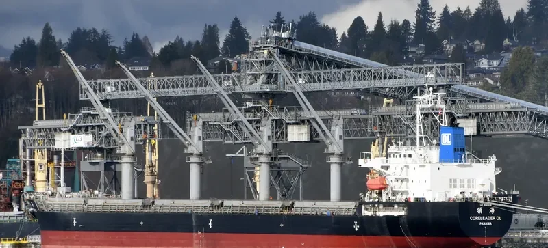 CORELEADER OL Bulk Carrier IMO 9597678 photo 8