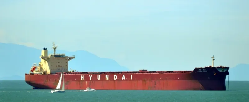 HL ESPERANCE Bulk Carrier IMO 9597745 photo 6