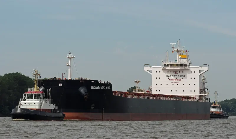 STARDUST Bulk Carrier IMO 9597757