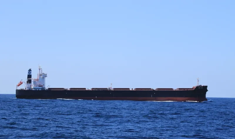 STARDUST Bulk Carrier IMO 9597757 photo 5