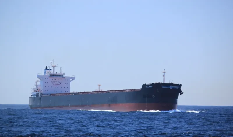 STARDUST Bulk Carrier IMO 9597757 photo 6