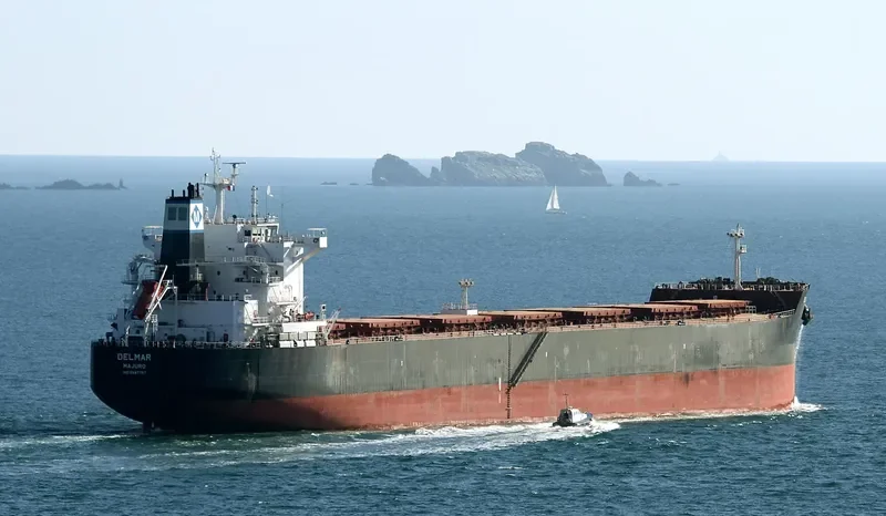 STARDUST Bulk Carrier IMO 9597757 photo 9