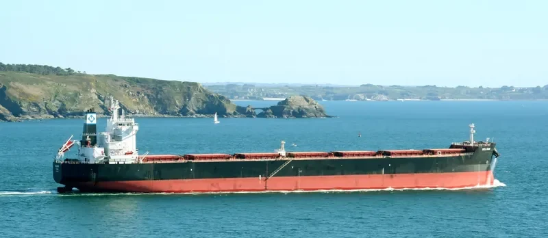 STARDUST Bulk Carrier IMO 9597757 photo 10