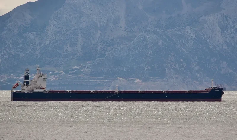FIORELA Bulk Carrier IMO 9597769