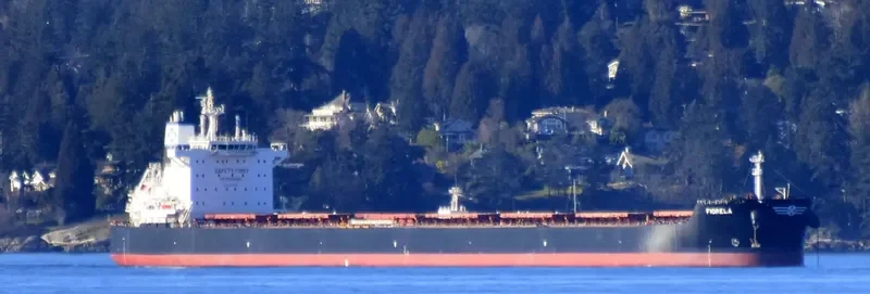 FIORELA Bulk Carrier IMO 9597769 photo 2