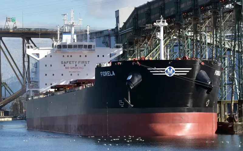 FIORELA Bulk Carrier IMO 9597769 photo 3