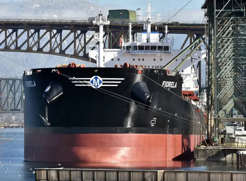 FIORELA Bulk Carrier IMO 9597769 photo 4