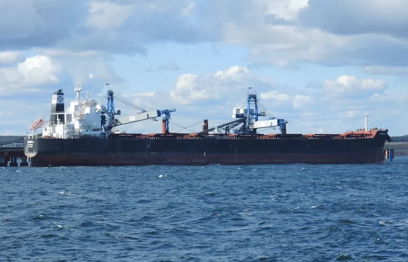 FIORELA Bulk Carrier IMO 9597769 photo 8