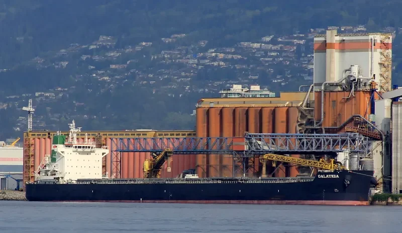 GALATEIA Bulk Carrier IMO 9597783 photo 6