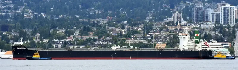 GALATEIA Bulk Carrier IMO 9597783 photo 7