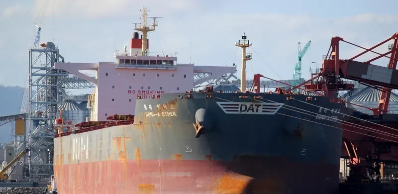 WINNING SPIRIT Bulk Carrier IMO 9597824