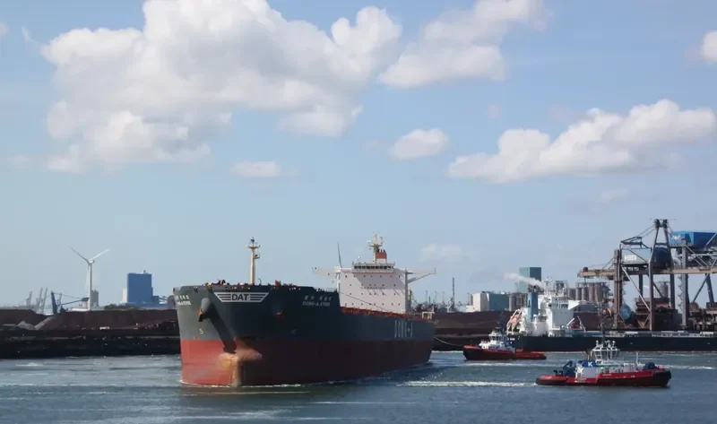 WINNING SPIRIT Bulk Carrier IMO 9597824 photo 4
