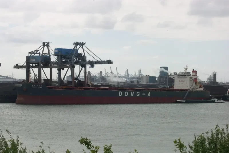 WINNING SPIRIT Bulk Carrier IMO 9597824 photo 10