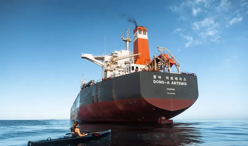 PARTNERSHIP Bulk Carrier IMO 9597848 photo 4