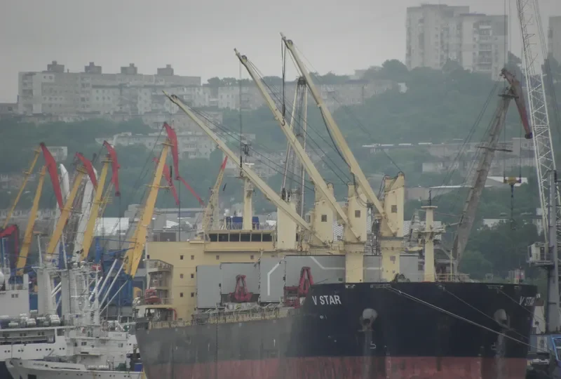 V STAR Bulk Carrier IMO 9598048