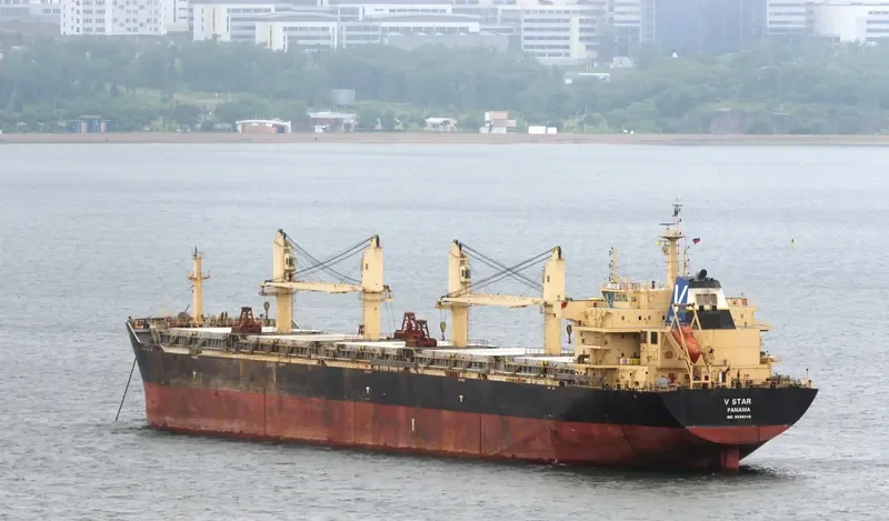 V STAR Bulk Carrier IMO 9598048 photo 3