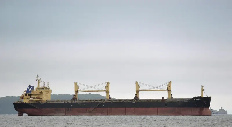 V STAR Bulk Carrier IMO 9598048 photo 4